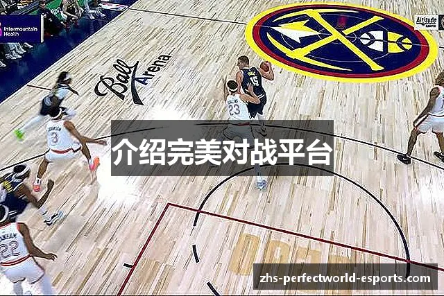 介绍完美对战平台